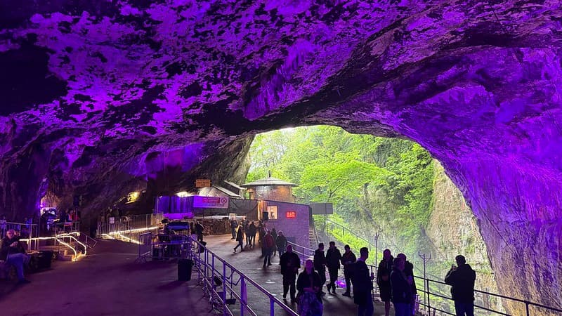 Looking out of the Devil's Arse, a cave the roof is lit with purple light and the view out of the cave show green vegetation over a limestone wall