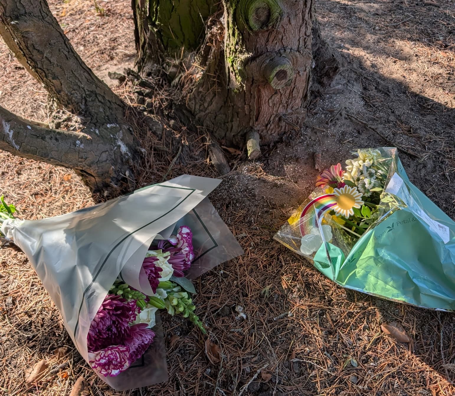 Two bunches of flowers at the base of a yew tree in Scunthorpe Crematorium