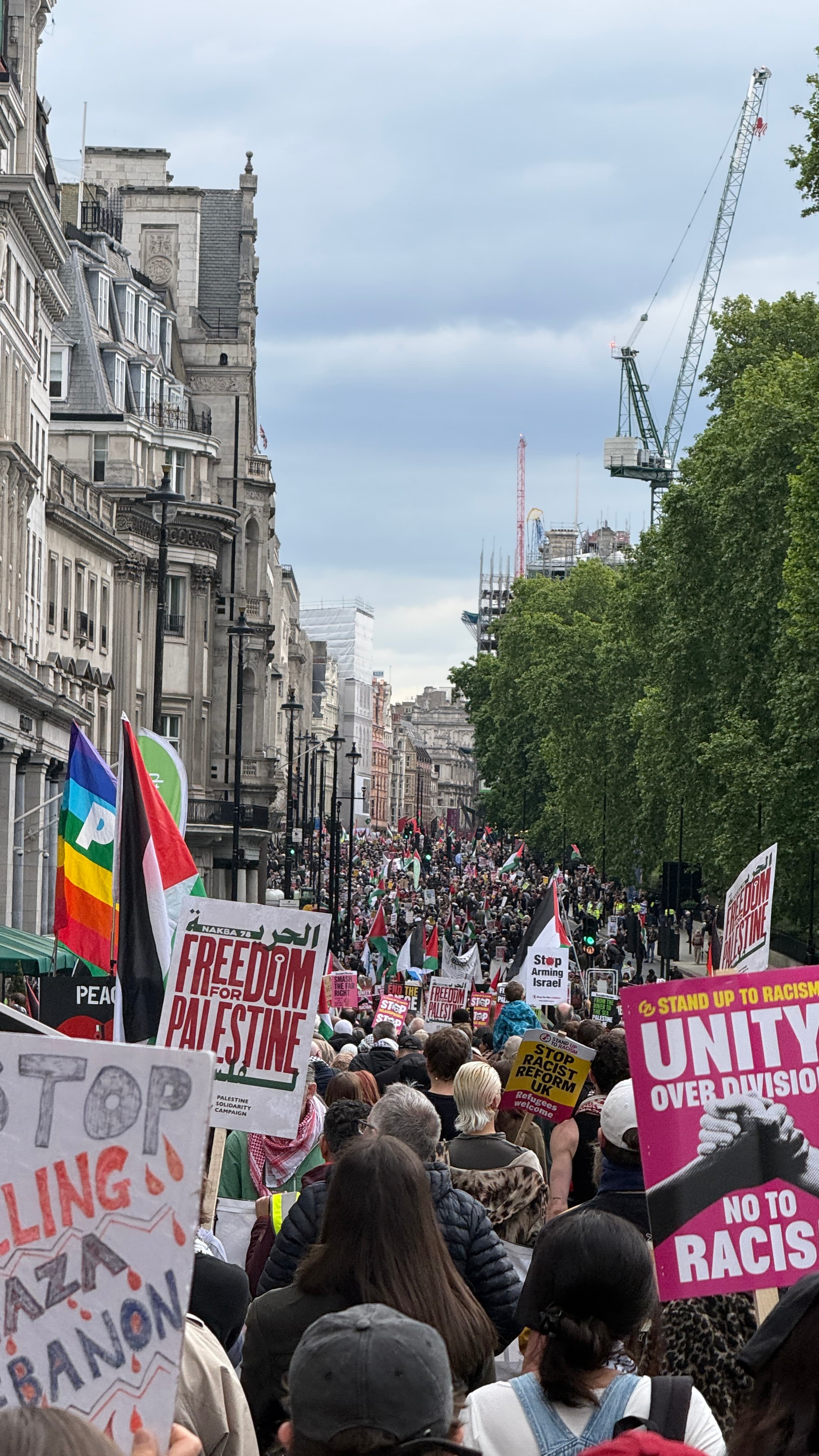 Piccadilly in London with thousands of protesters carrying Palestine flags