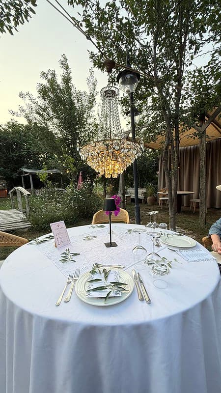 Our table with a crystal chandelier in a garden