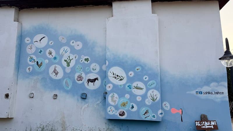 House with a blue wall with Turkish ingredients painted on it